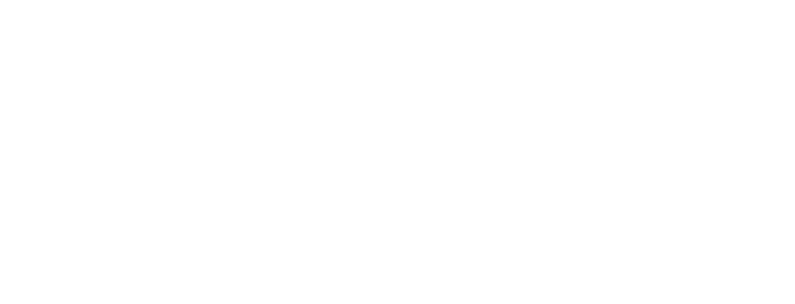 IB PAL White color 1 e1760523360715